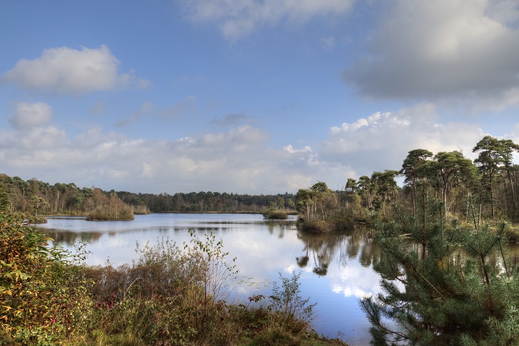 Oisterwijkse Bossen en Vennen Kampina natuurgebied natuur oisterwijk Nationaal park Landschap Het Groene Woud hei heide bossen natuurmonumenten brabant baronie boswachterij dorst